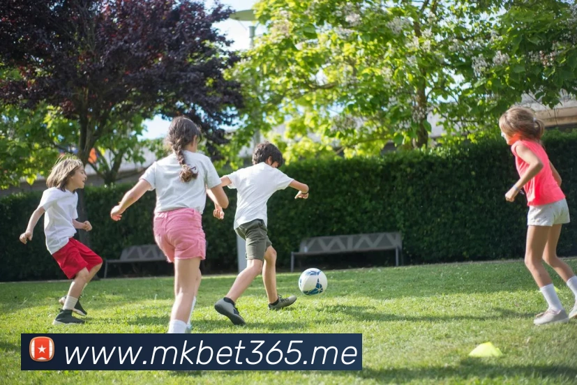 bet365中国官网APP 封面图